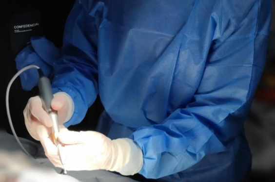 Veterinary training course